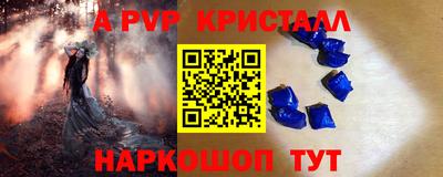 гашик Тверь